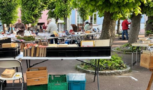 foire-aux-livres-ban