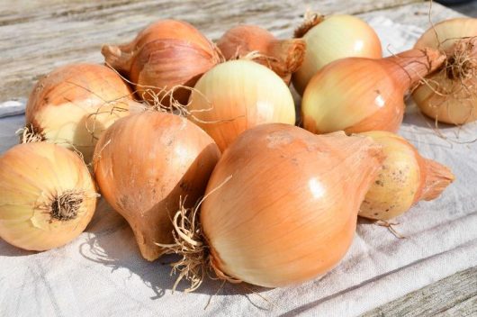 fruits-legumes-drive-fermier-du-montreuillois-drive-fermier-du-montreuillois-09