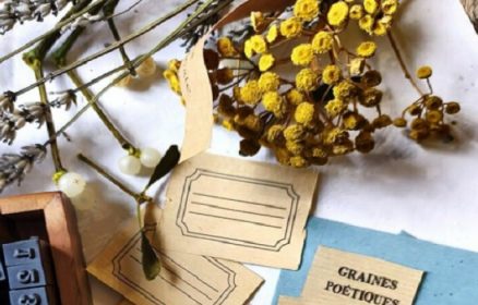 Semer des graines poétiques