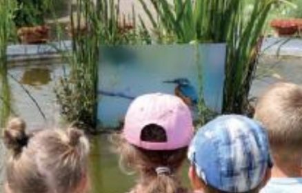 Atelier Famille avec un Artiste en Résidence
