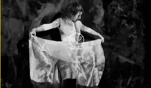jardins-des-proies-experience-nocturne