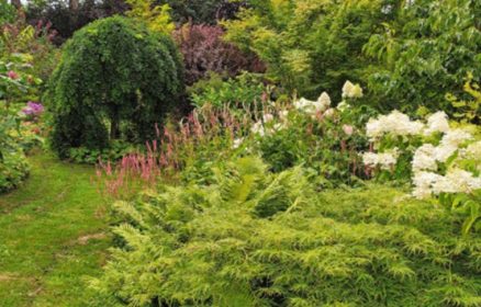 Flânerie au Jardin Gardincour
