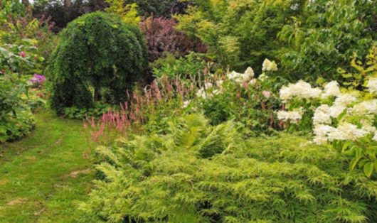 jardins-gardincour-ban
