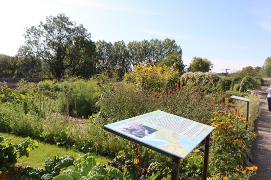 jardins-la-chartreuse-de-neuville-sous-montreuil-02