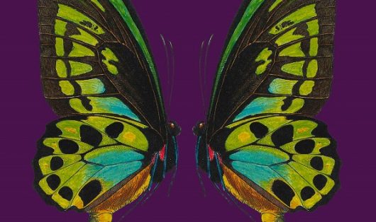 le-grand-bain-le-retour-2026-ban