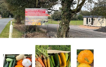 Aux Légumes Des Petites Plaines