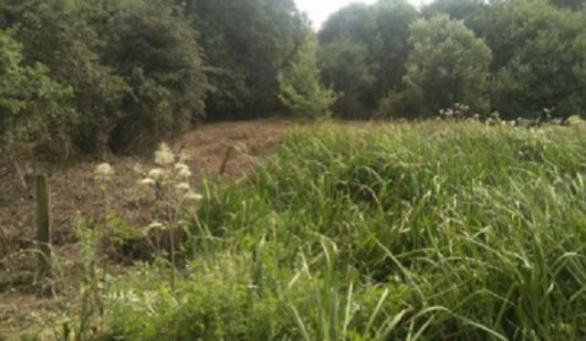 les-oiseaux-cen-st-josse