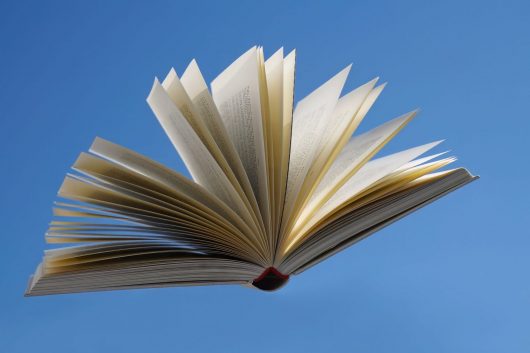 livre-seul-pixabay