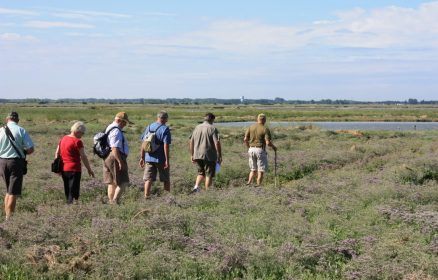 Les Marcheurs de la Baie d’Authie