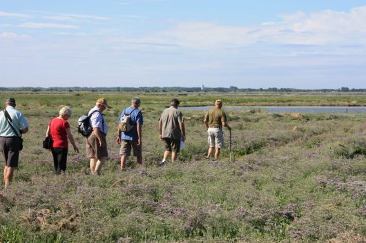 marcheurs-baie-authie-meurot-2019-ldd-3