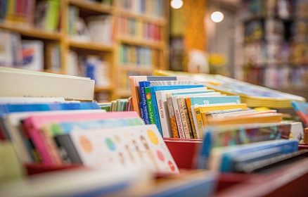 Le Réseau des Médiathèques