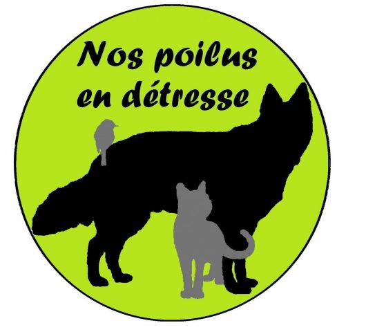 nos-poilus-en-detresse