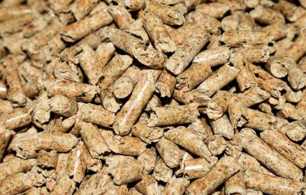 TotalEnergies Proxi Nord Est