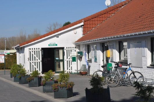 pomme-de-pin-accueil