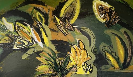 pooa-credit-anne-francoise-delporte