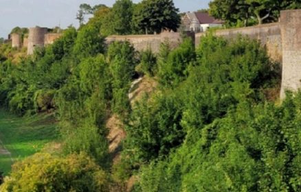 Arbres des Remparts de Montreuil