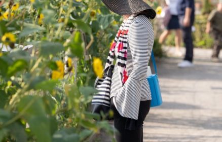 RDV aux Jardins + Marché des Artisans
