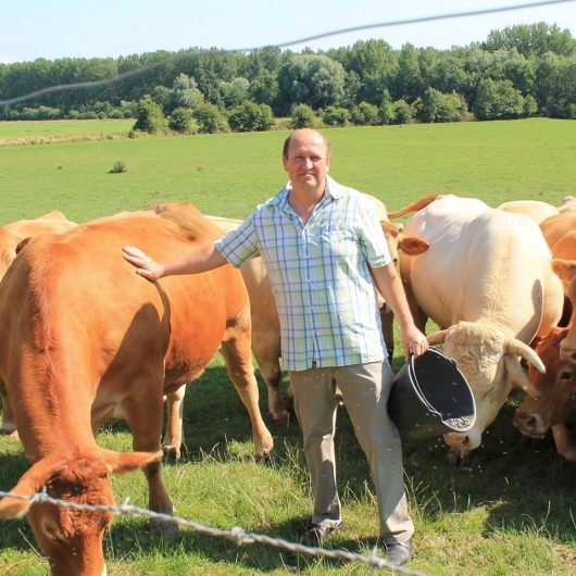 saveurs-de-ferme-neuville-sous-montreuil