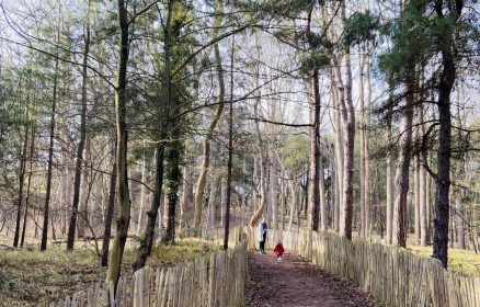 Petits gestes pour la nature