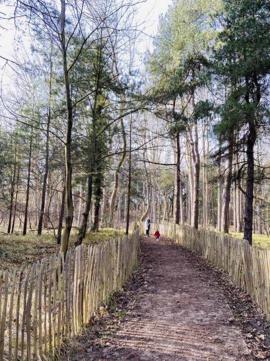 sentier-allee-des-roses-groffliers