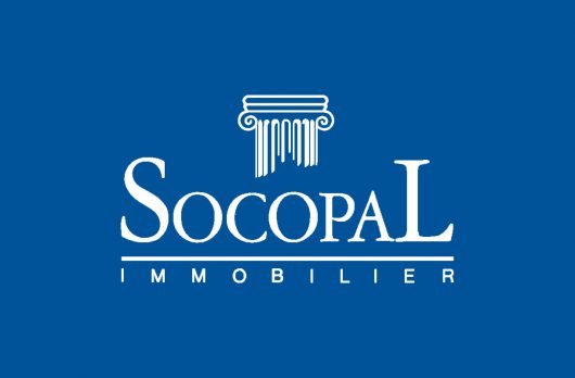 socopal-web-1