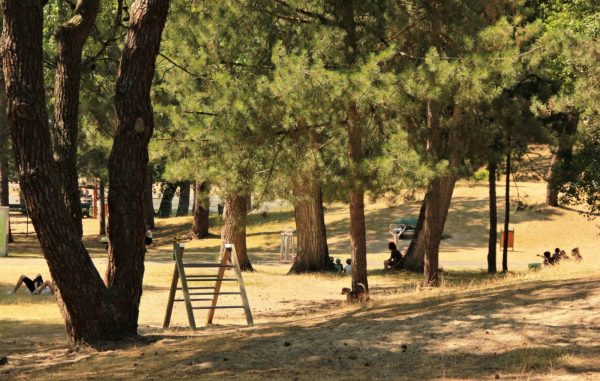 Square de la liberté