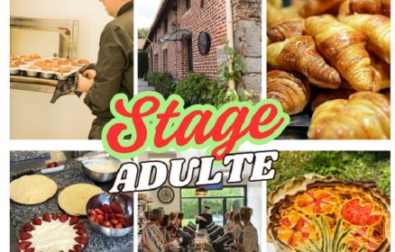 Stage Adulte pour la Passion de la Pâtisserie