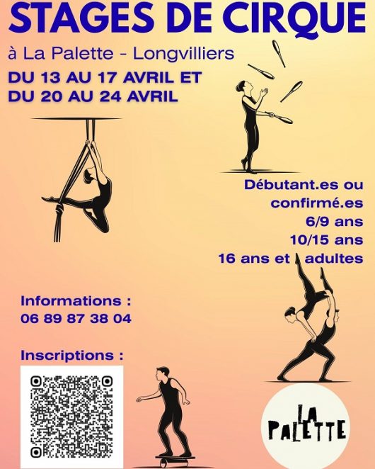 stages-de-cirque-la-palette