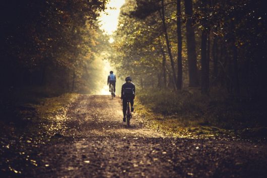 vtt-pixabay